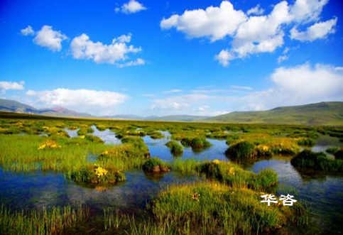 長沙水土保持？湖南省水土保持編制專業(yè)公司_10年專注水土保持報告的編制。